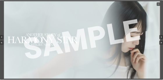 デジタルフォトブックのイメージ画像